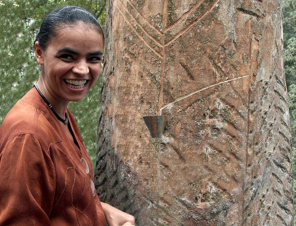 4543480419_d92c7ce739_b