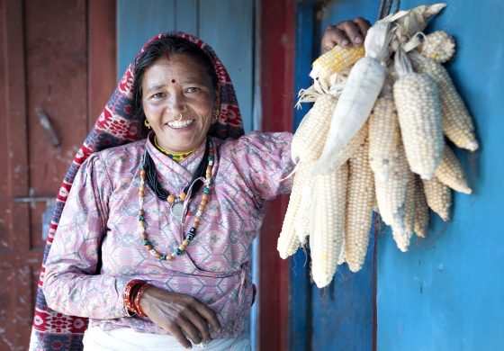 basmati_er_valgt_ind_i_lokalradet_i_sin_landsby_for_de_naeste_fem_ar