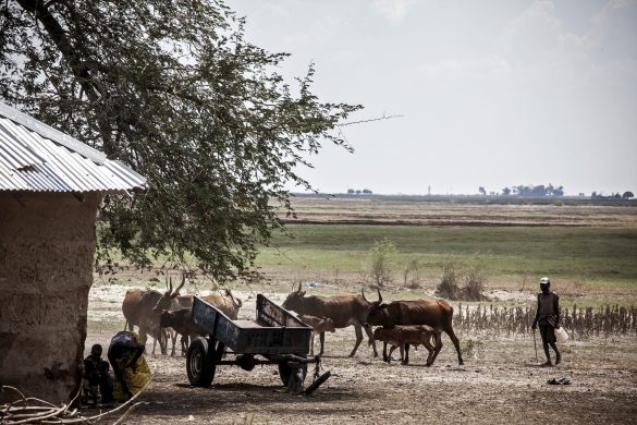 felix_clayduckrabbit_2012