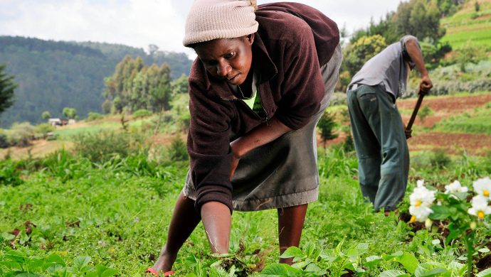 5366719785_8ec126cd79_b