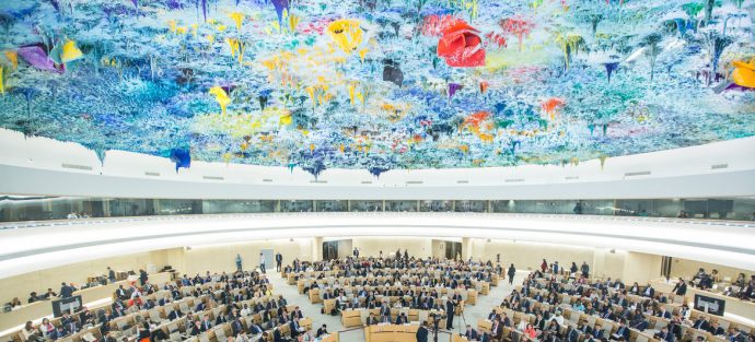 fns_menneskerettighedsraad_un_photo_elma_okic