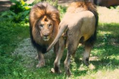 18662588479_ae30a3d0d8_k