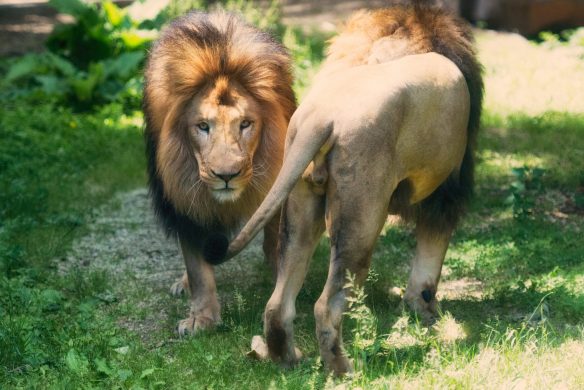 18662588479_ae30a3d0d8_k