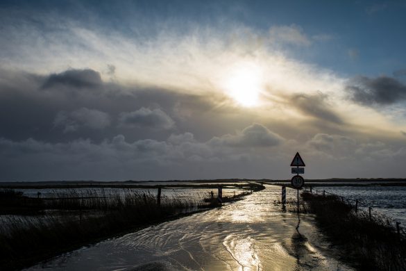 20459386803_cbbd1b23b5_k