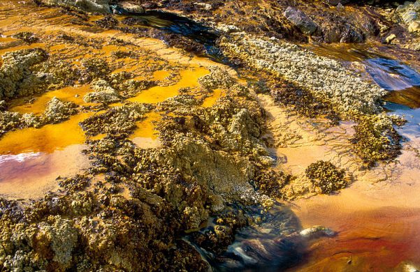 csiro_scienceimage_4369_soil_pollution_at_the_brukunga_pyrites_mine_east_of_adelaide_in_the_mount_lofty_ranges_south_australia_1992