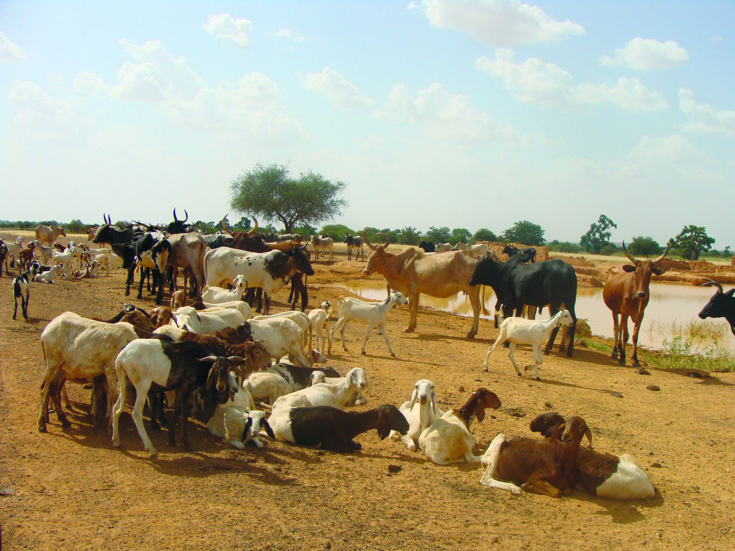 10667593025_7acc222891_o