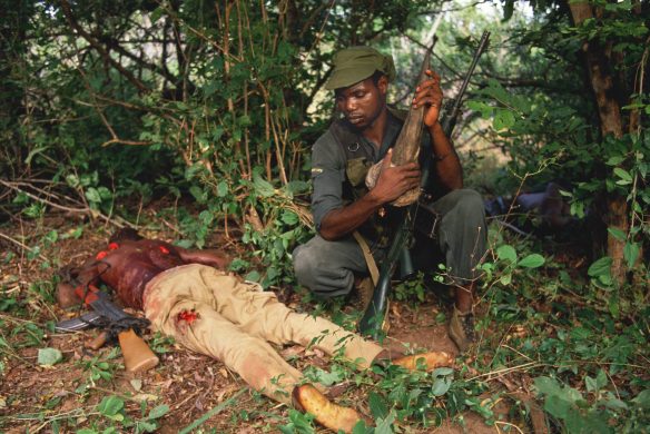 deadpoachergettyimages-71303491