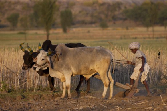 gettyimages-136860947-594x594