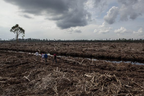 gettyimages-452167552