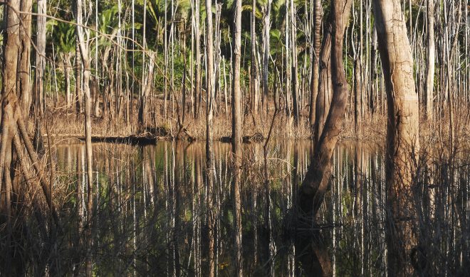 gettyimages-803471110