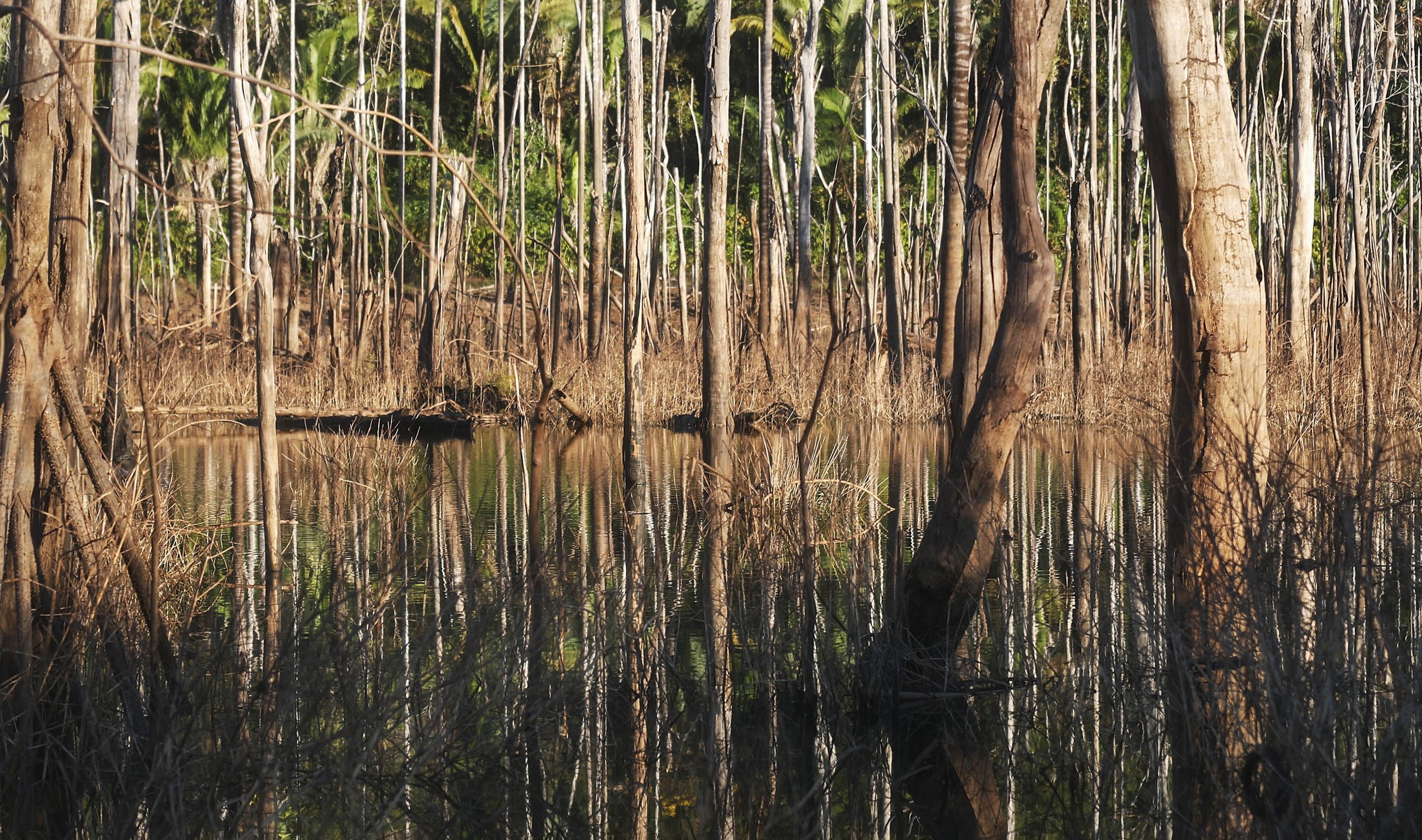 gettyimages-803471110