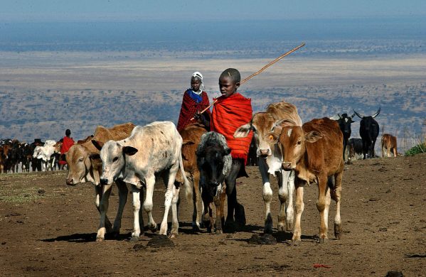 gettyimages-2761023_masai_tanzania_amy_vitale