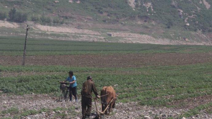 nordkorea_mission_oest2