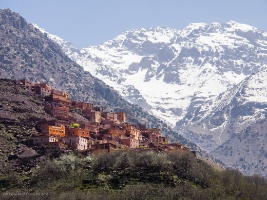 toukbal_julia_maudlin