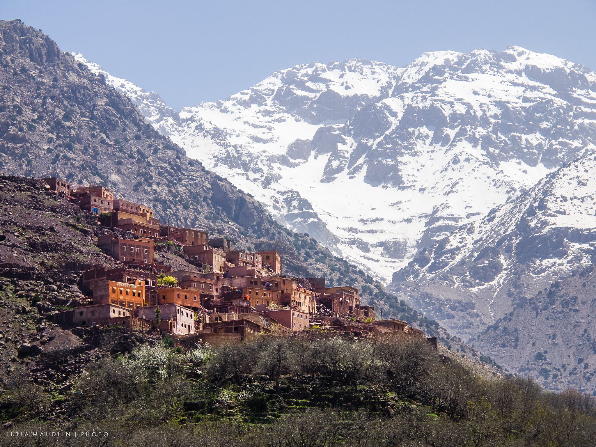 toukbal_julia_maudlin