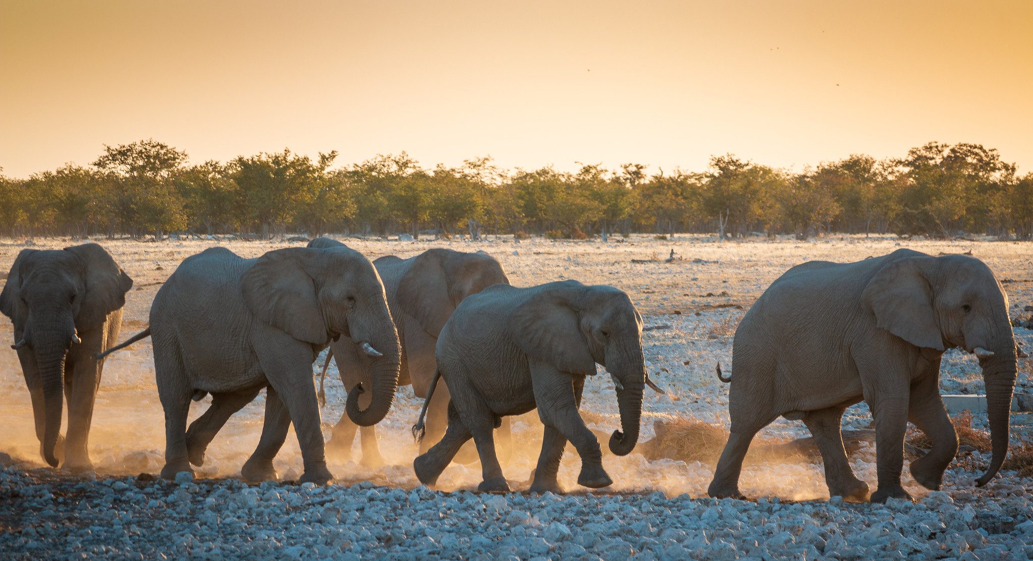 41930184850_25c1a6a38c_k