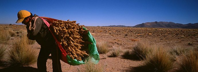 bolivia_quinoa_getty