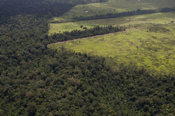 gettyimages-527459198_1