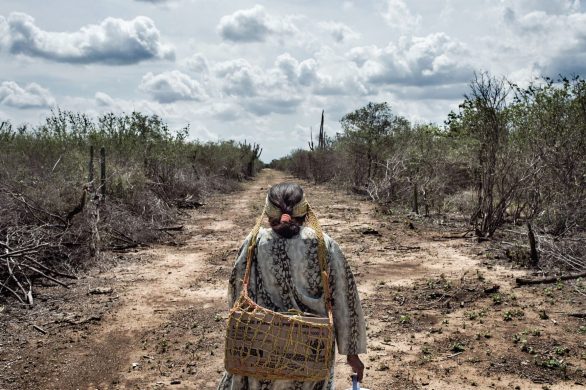 wayuupeople_colombia_iwgia