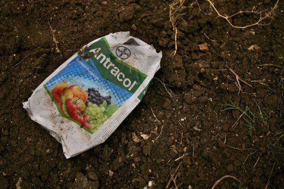 gettyimages-80592901