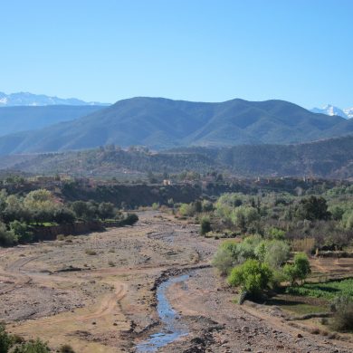 torben_udtoerret_flodleje