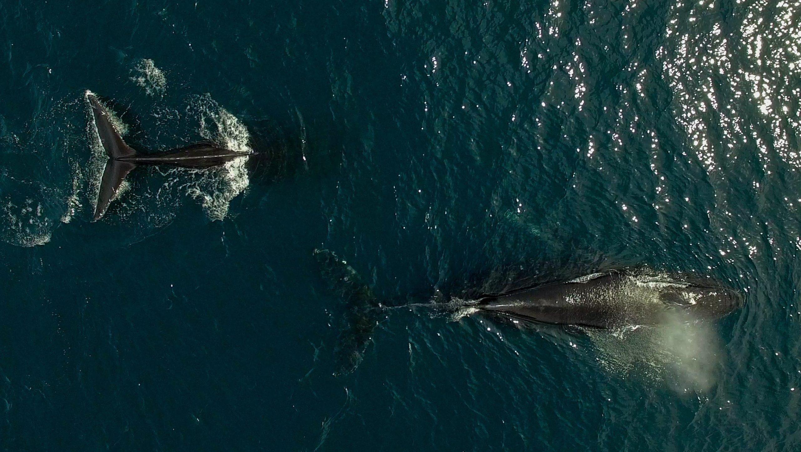 gettyimages-816156736