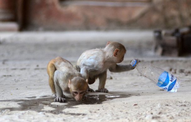 gettyimages-1147614390