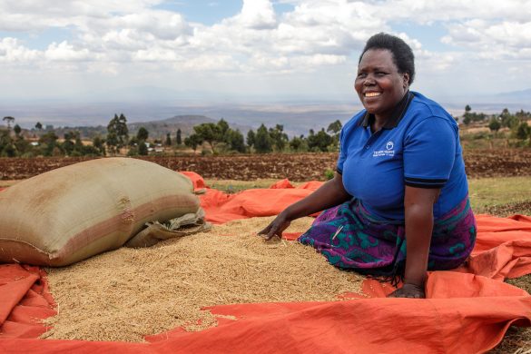 gettyimages-1137046785