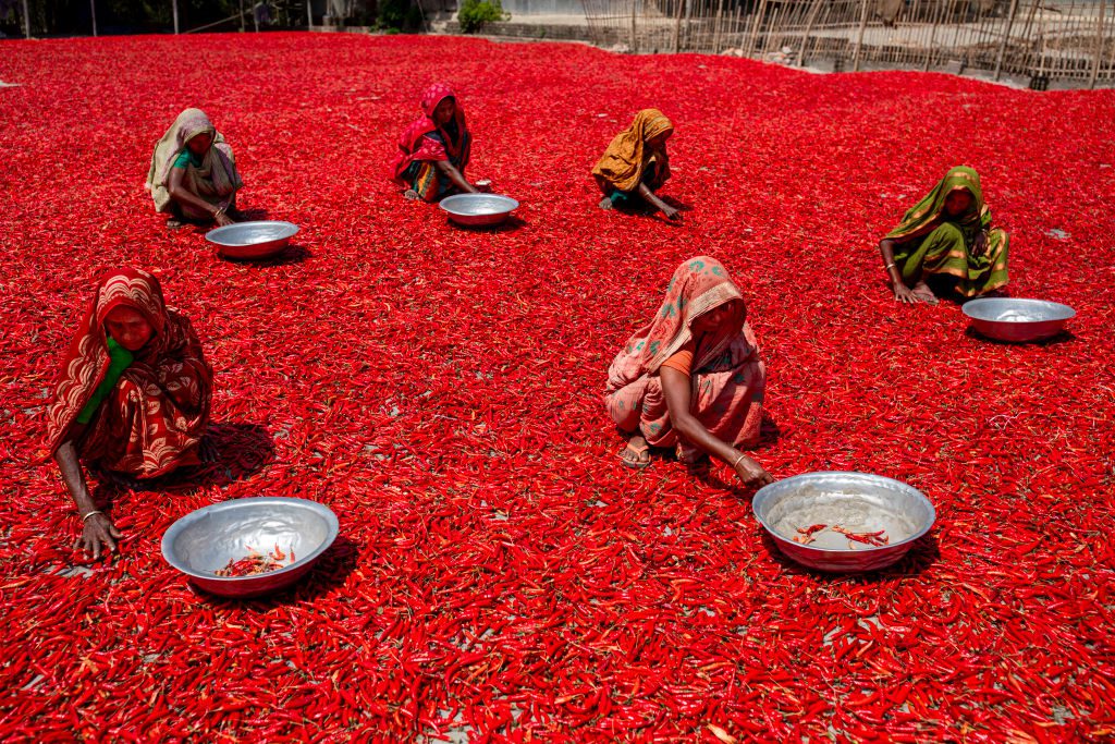 gettyimages-bangladesh_kvinder_fattigdom_chili
