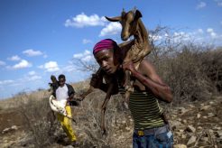 gettyimages-somalia_toerke