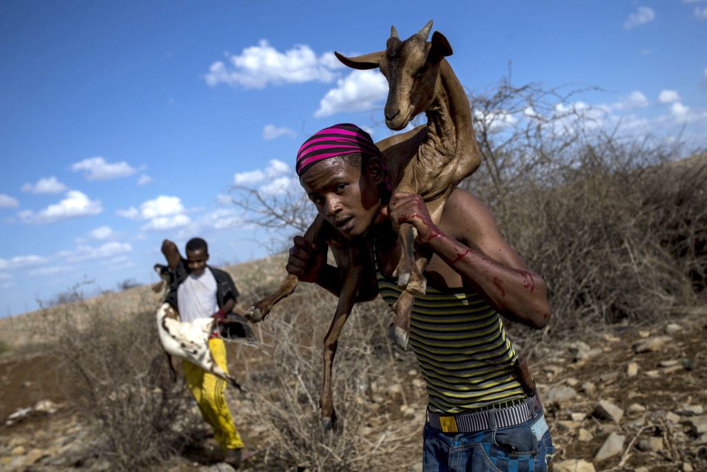 gettyimages-somalia_toerke