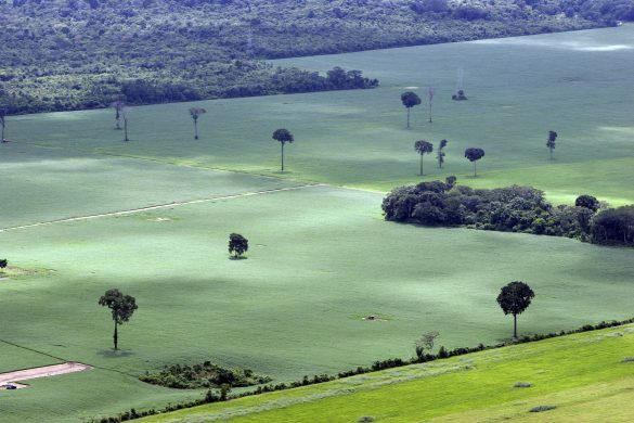 gettyimages-462376674