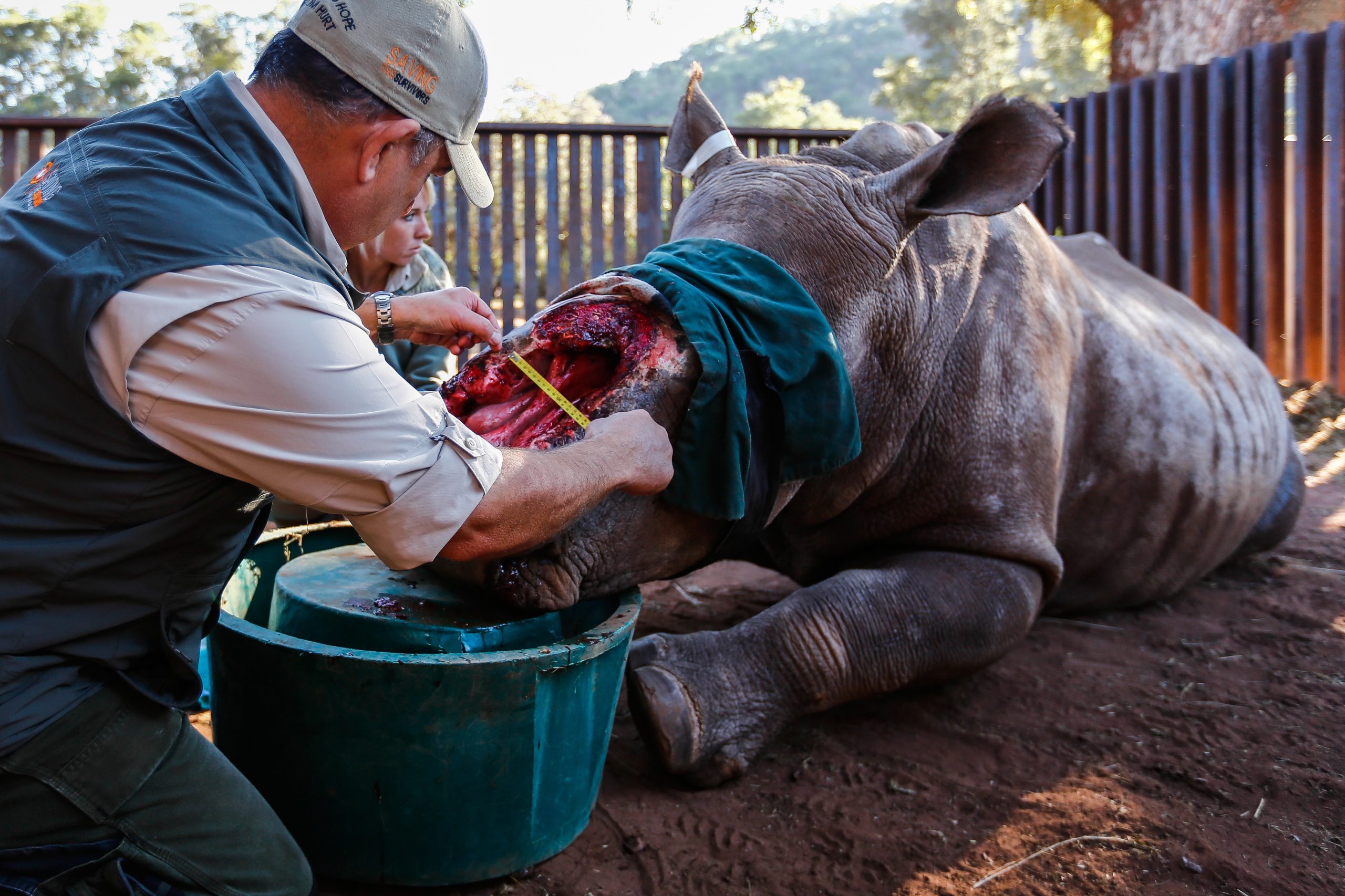 gettyimages-528147954