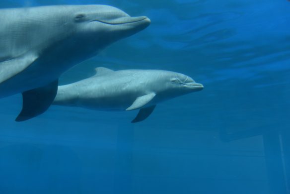 gettyimages-967828484