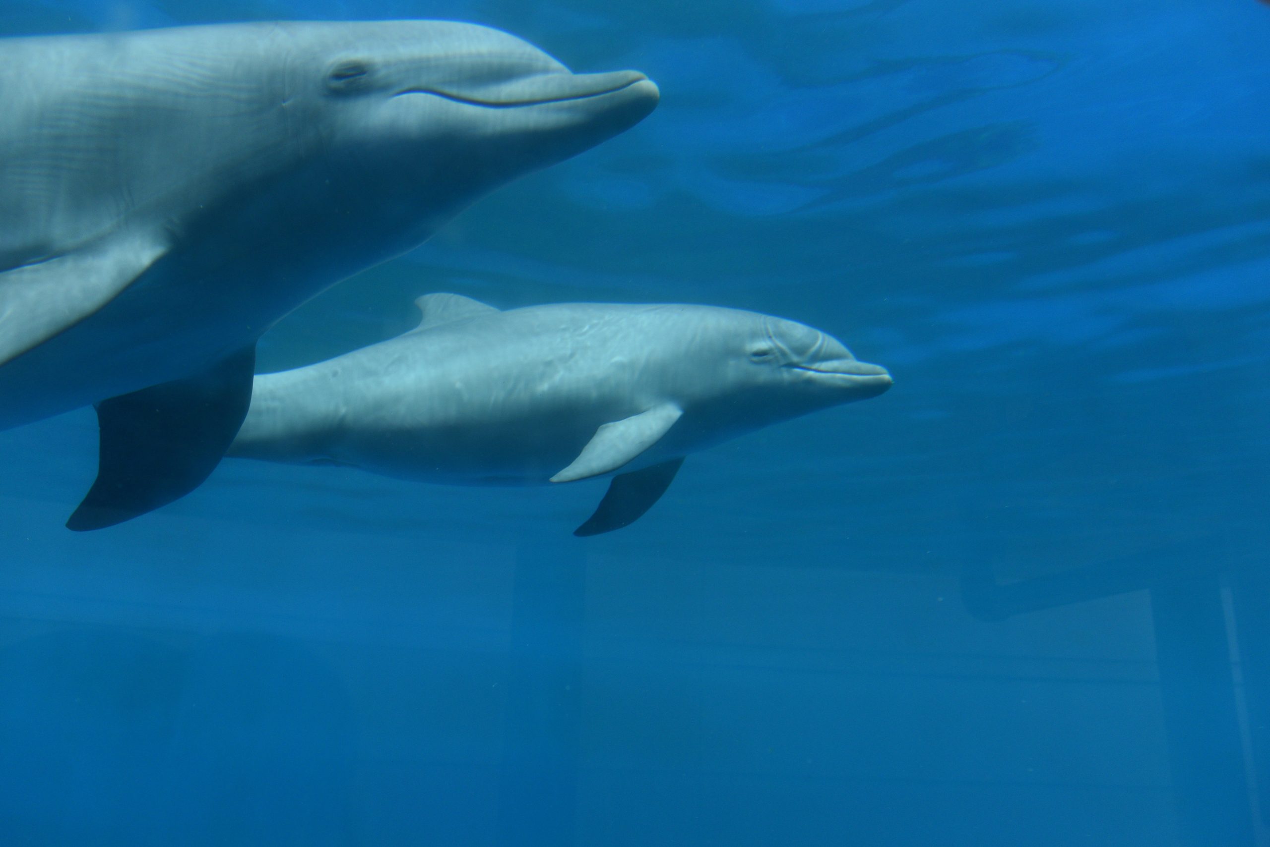 gettyimages-967828484