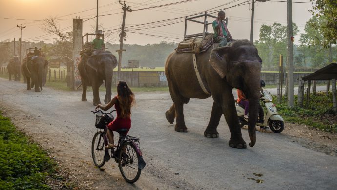 gettyimages-1133255625