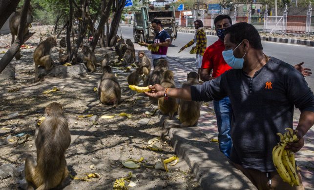 gettyimages-1209496776