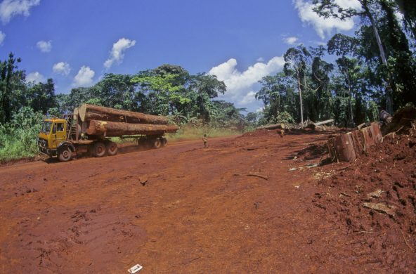 gettyimages-1061387652