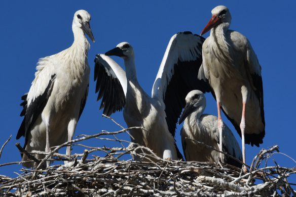 gettyimages-1150837343