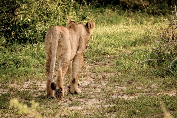 gettyimages-1156112359