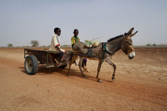 gettyimages-1180592950