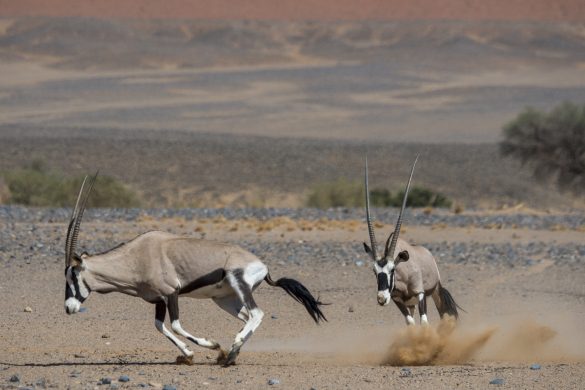 gettyimages-1200556723