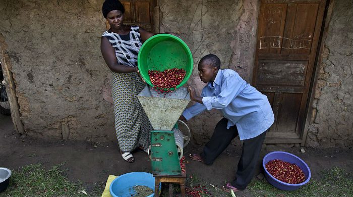 gettyimages-161616544_ny