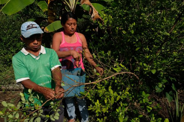 gettyimages-637996470