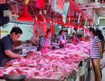 gettyimages-1248671758