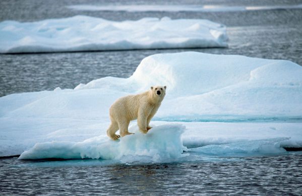 gettyimages-539284810