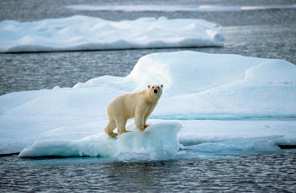 gettyimages-539284810