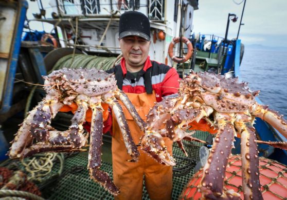 gettyimages-963719258