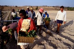 gettyimages-593277184