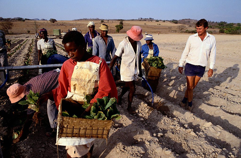 gettyimages-593277184